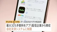 スマホ新法で何が変わる？アップルとグーグルに規制 “ゲームアプリなどの課金”手数料引き下げへ
