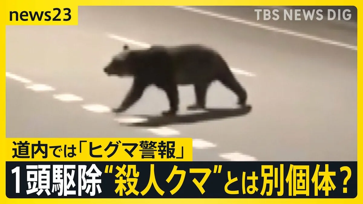 同じ「クマ」が4年前にも人死なせたか　DNAが一致「銃声がして」同じ町内で1頭駆除　“殺人クマ”とは別個体？【news23】