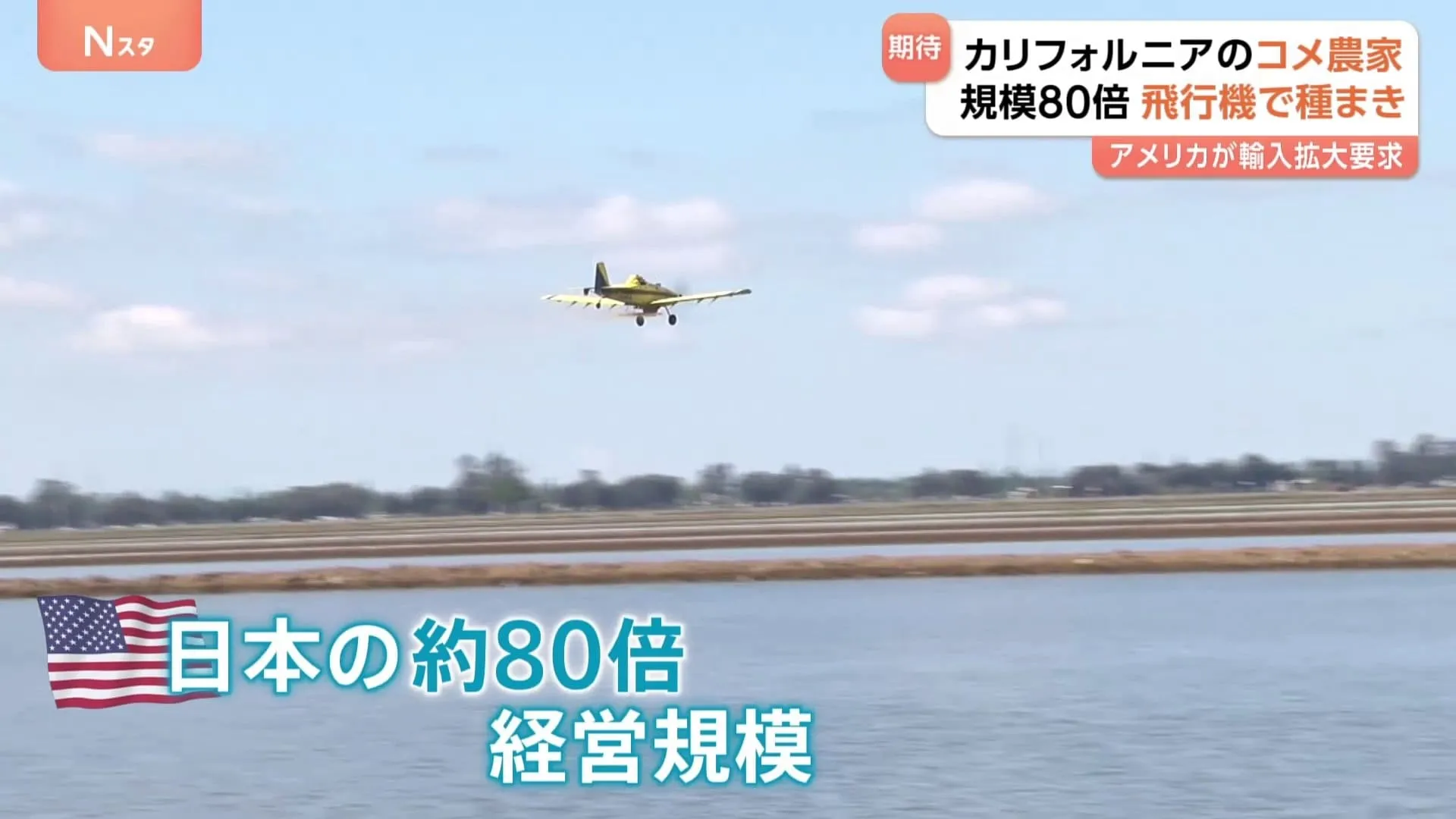 アメリカのコメ農家は輸入拡大に期待 「経営規模は日本の80倍」広大な土地に飛行機で2トンの種まき