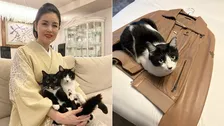 【 ねこ 】藤あや子の愛猫「オレオ」まるで秀吉　冷え始めた季節に上着の上でうずくまって「温めておきやしたぜぃ」