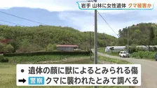 岩手・八幡平市の山林に女性遺体　顔に“ひっかき傷” クマに襲われたか　きのう山菜採りの60代女性が行方不明