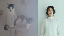 【 入山法子 】「誕生日を迎えました」愛猫2頭と「我が家は今日も平和です」感謝と抱負　被災地にも思い寄せる