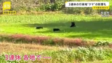 3連休の行楽地に“クマ”の影響「きょうは目撃したのか？」の問い合わせも　各地で人的被害も相次ぐ「キノコ採り」で山に入り“鼻を引っかかれる”【news23】