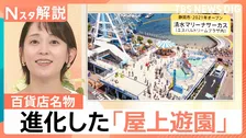 渋谷の街から百貨店が姿を消す…「西武渋谷店」閉店発表に惜しむ声、進化を続け守り継がれる「屋上遊園」の今【Nスタ解説】