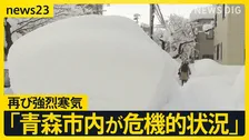また寒気、都心でも雪が…青森では「災害救助法」適用【news23】