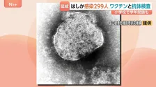去年すでに上回る「はしか」感染299人　都内小学校では「学年閉鎖」も　厚労省はワクチン2回接種を呼びかけ