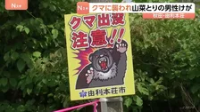 秋田で2日連続　人がクマに襲われる　山菜とりの男性（83）けが　由利本荘市　きのう（4日）は仙北市で男性がクマに襲われけが