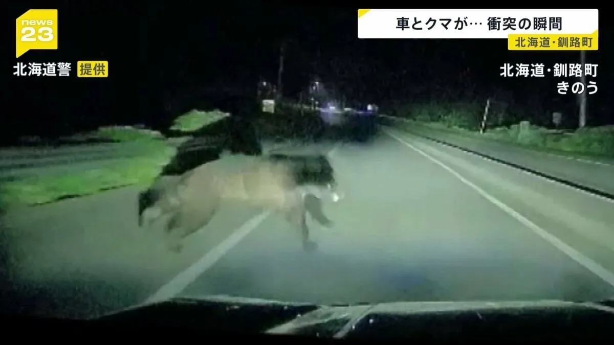 いきなりクマが車の前に…　ヒグマと衝突　車が一部破損　北海道・釧路町の国道