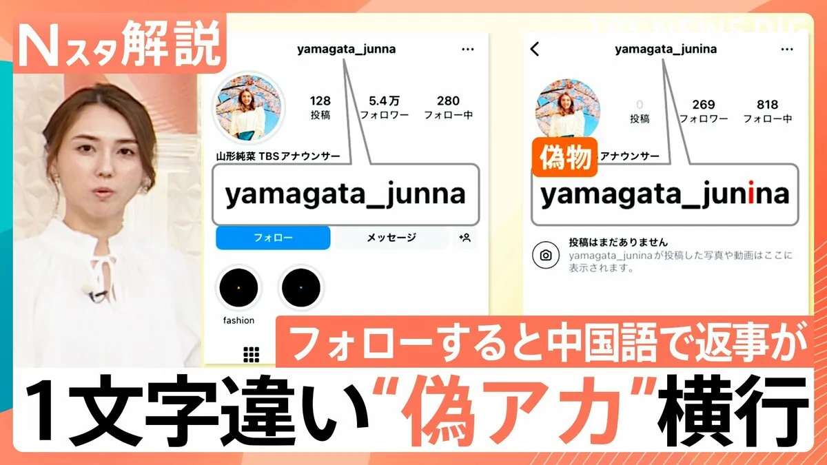 「n」か「u」か“1文字違い”の偽アカウント横行　中国語で「おまえ楽しいか」と返信も【Nスタ解説】