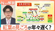 紅葉の見頃が年々遅く…都内は「12月」になる未来も？床もみじ＆桜コラボと混雑回避術【Nスタ解説】