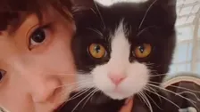 保護猫【 紗栄子 】〝「ずっとの家族」を随時募集〟〝一つの里親決定が二つの命を救う〟