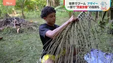 日本でも人気の「アサイー」 世界的ブームで需要急増も収穫の現場で“児童労働”の指摘【SDGs】