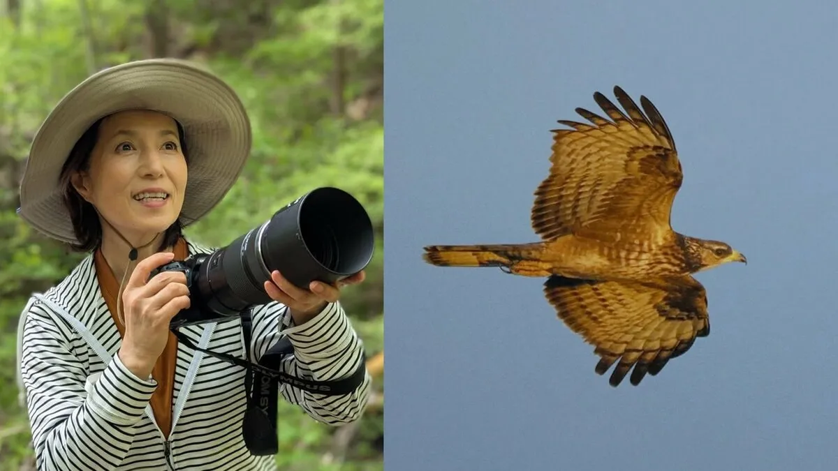 【 磯野貴理子 】　五島列島・福江島で野鳥観察「タカの渡りを見に行ってきました」