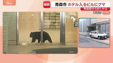 青森市中心街にクマ ホテルが入るビルに出没　現場には規制線… 猟友会が周囲を警戒も　警察や市が対応にあたる