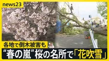 【全国で“春の嵐”】帰宅ラッシュに直撃した雨と風…各地で倒木相次ぐ　11日（土）は気温上昇…関東では夏日続出か【news23】