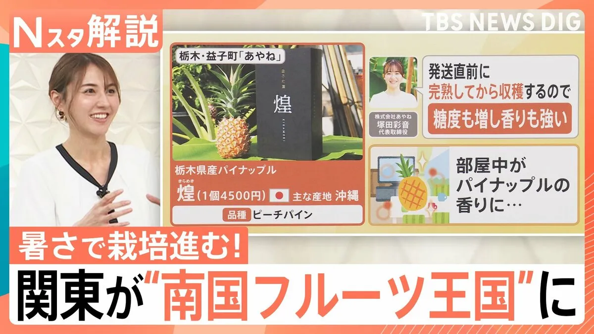 “群馬産バナナ”に“栃木産パイナップル”！関東で「南国フルーツ」続々栽培のワケ【Nスタ解説】