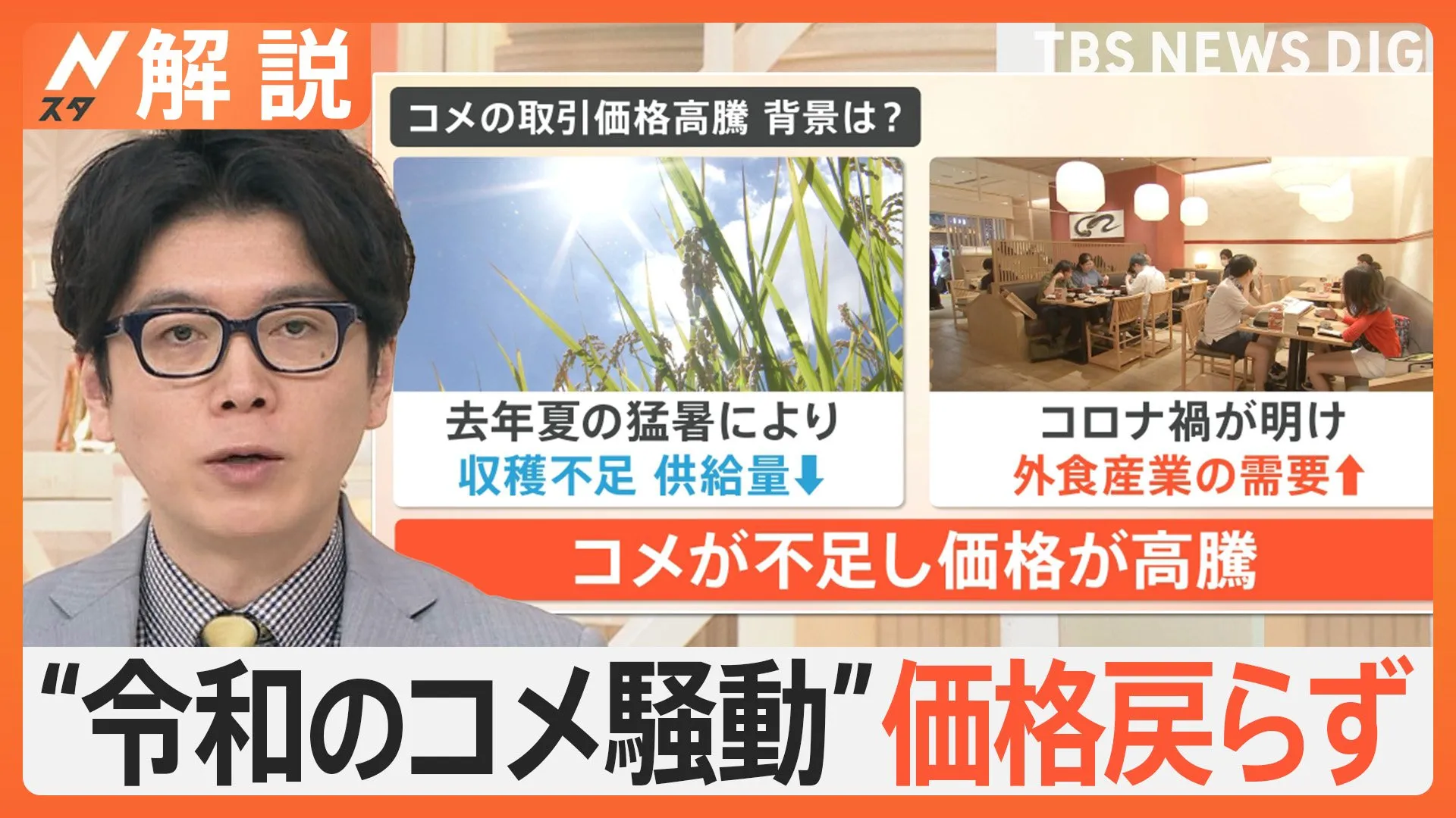 「事件と言って良い」キャベツ高騰で1玉400円超　“令和のコメ騒動”価格戻らず…今買うべき食材は？【Nスタ解説】