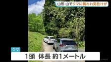 山菜採りの男性がクマに襲われる　顔や頭にけがも命に別状なし　クマの体長1m　山形・朝日町