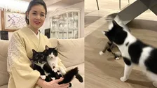 【 藤あや子 】愛猫マルが爪研ぎをベッドに「可愛いから許そう」　じゃこ天はオレオから突然パンチ　三者三様の日常