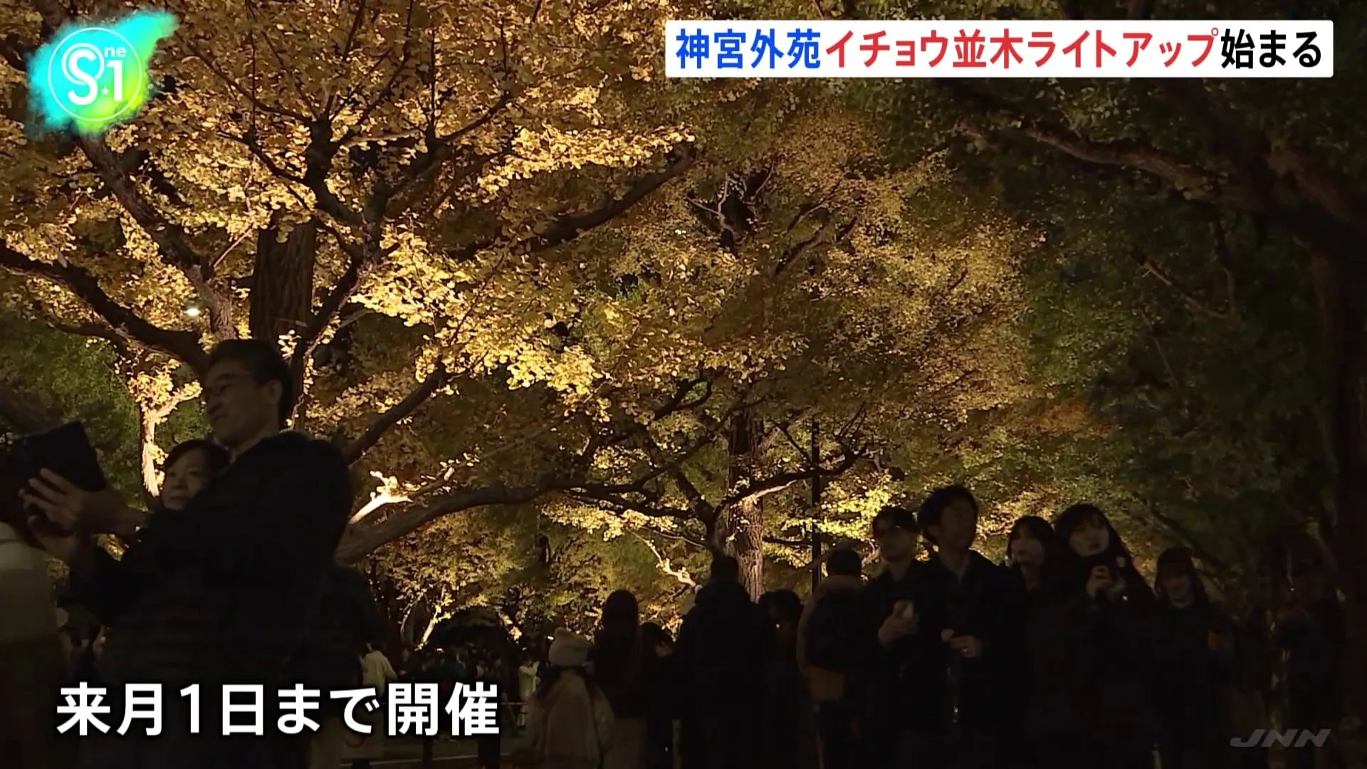 「黄色とのコントラストがいい感じ」明治神宮外苑 イチョウ並木のライトアップ始まる　12月1日（日）まで毎日午後4時半～午後7時半