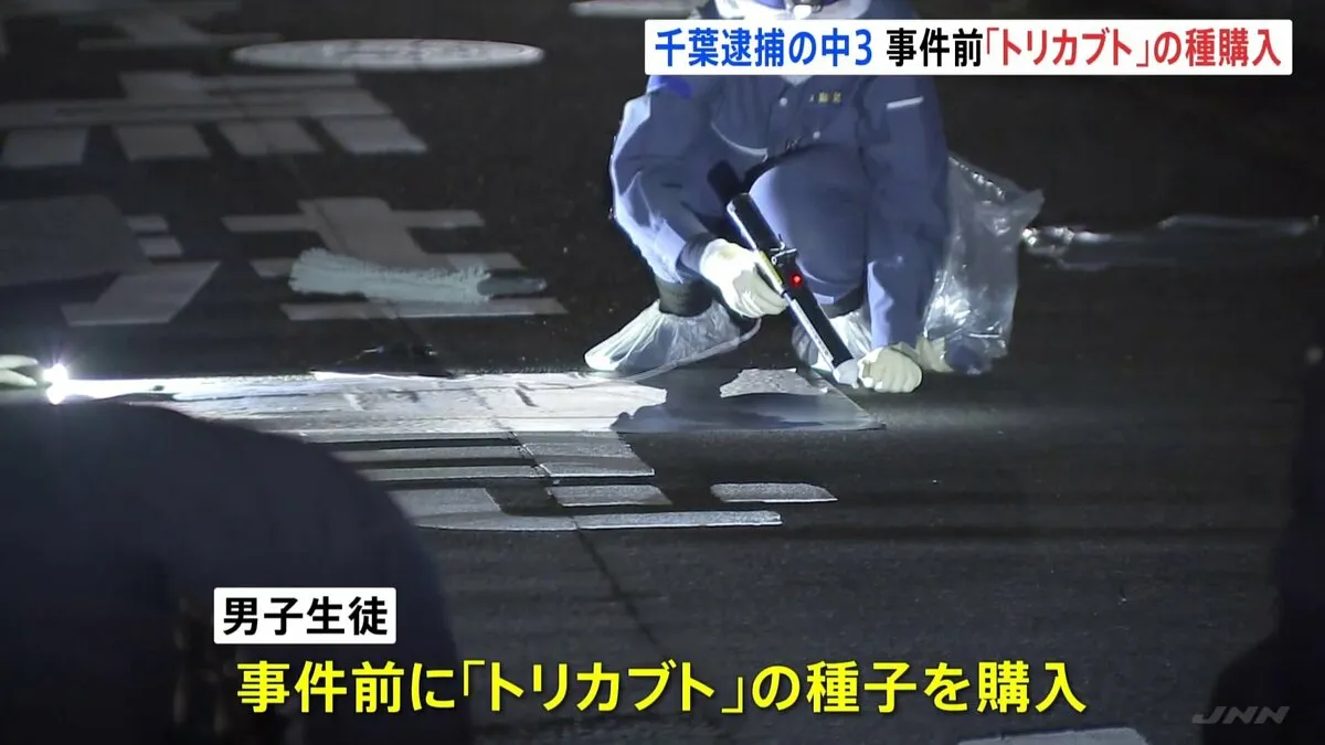 「実験のため買った」事件前に毒の植物“トリカブトの種子”を購入　殺人容疑で逮捕の男子生徒（15） 千葉・高齢女性殺害事件　千葉県警