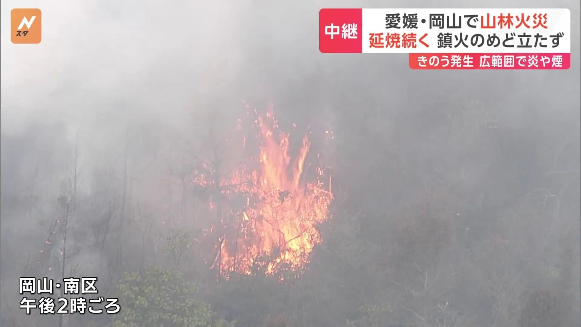 現場の上空からは時折赤い炎も…岡山・南区の山林火災の様子は？