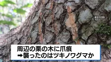 男性（59）がクマに襲われ大けが  愛知・豊田市の住宅