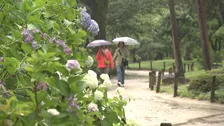 関東甲信いよいよ梅雨入り　横浜では“降れば降るほどお得”な割引きキャンペーン始まる！雨で遠のく客足確保の秘策に！？