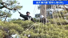 金沢・兼六園も春の装いへ　園内800か所の「雪吊り」取り外し作業始まる