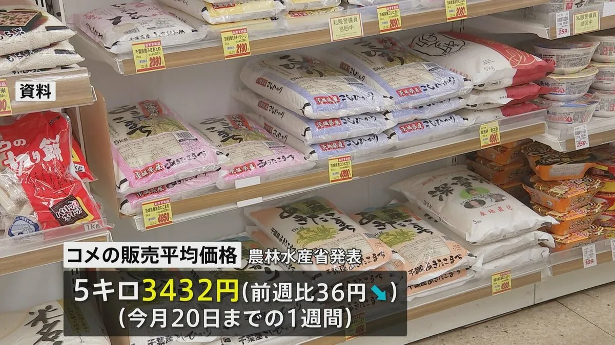 コメ平均価格 5キロ3432円　9週連続で値下がりも下げ幅は前週より縮小　全地域で3週連続3000円台