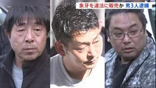 象牙を違法に販売した疑いで買取販売会社の代表の男ら3人逮捕 約108万円を得たか　警視庁