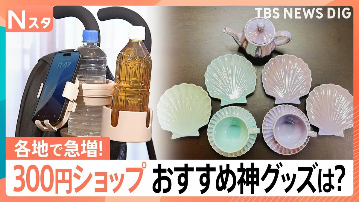店舗急増中の300円ショップ！おすすめグッズを調査！愛用歴20年以上の常連さん、部屋の中を拝見すると…驚きと発見の連続！【Nスタ】
