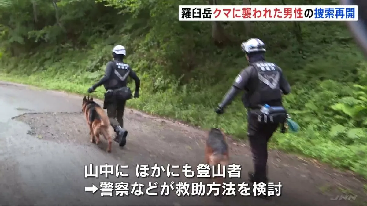 クマに襲われ茂みに引きずり込まれ…行方不明　20代男性の捜索再開　山にはほかにも登山者　北海道・羅臼岳