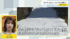 史上最大の「ゴジラ・エルニーニョ」に警戒を…今年続くさまざまな“天候不順”と関係か　今冬は暖冬傾向でも“ドカ雪”に注意【news23】