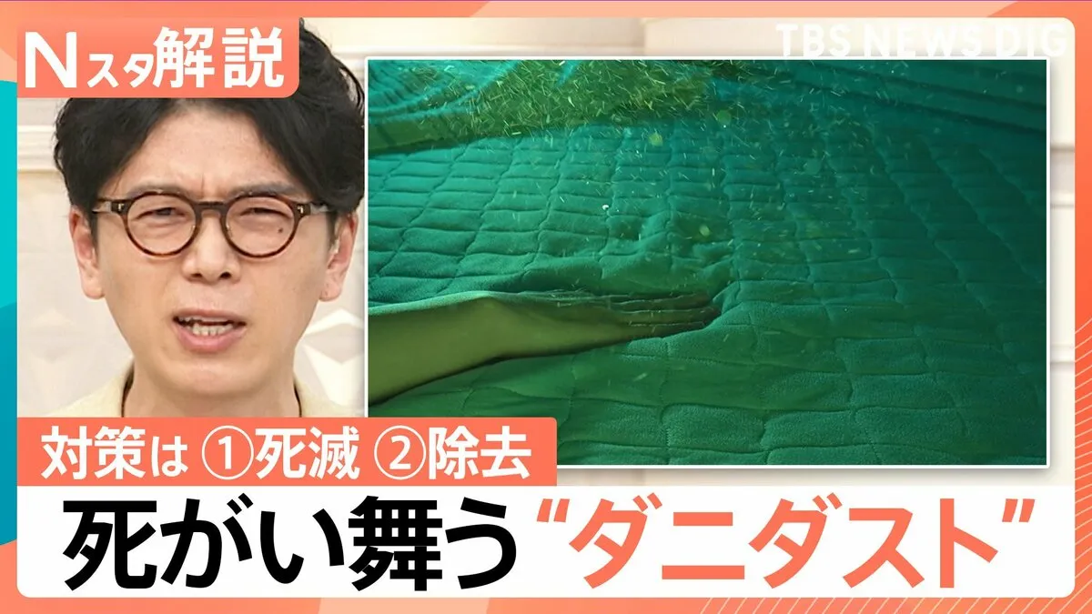 「蓄積した死がいとフンが最も多くなるのが9月」“ダニダスト”にご注意　週一回以上の対策を！【Nスタ解説】