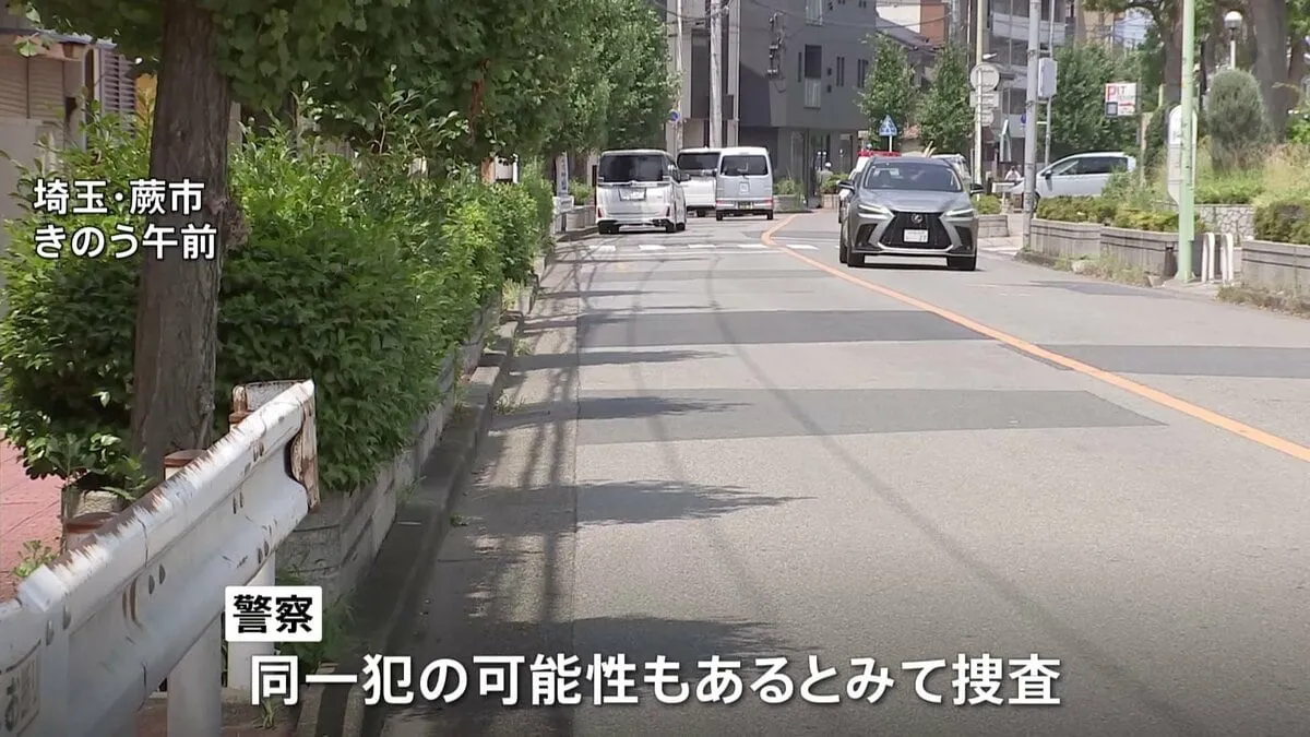 埼玉県南部で連続ひったくり　半径10キロ内で2時間に6件 同一犯か　バイクの男2人組
