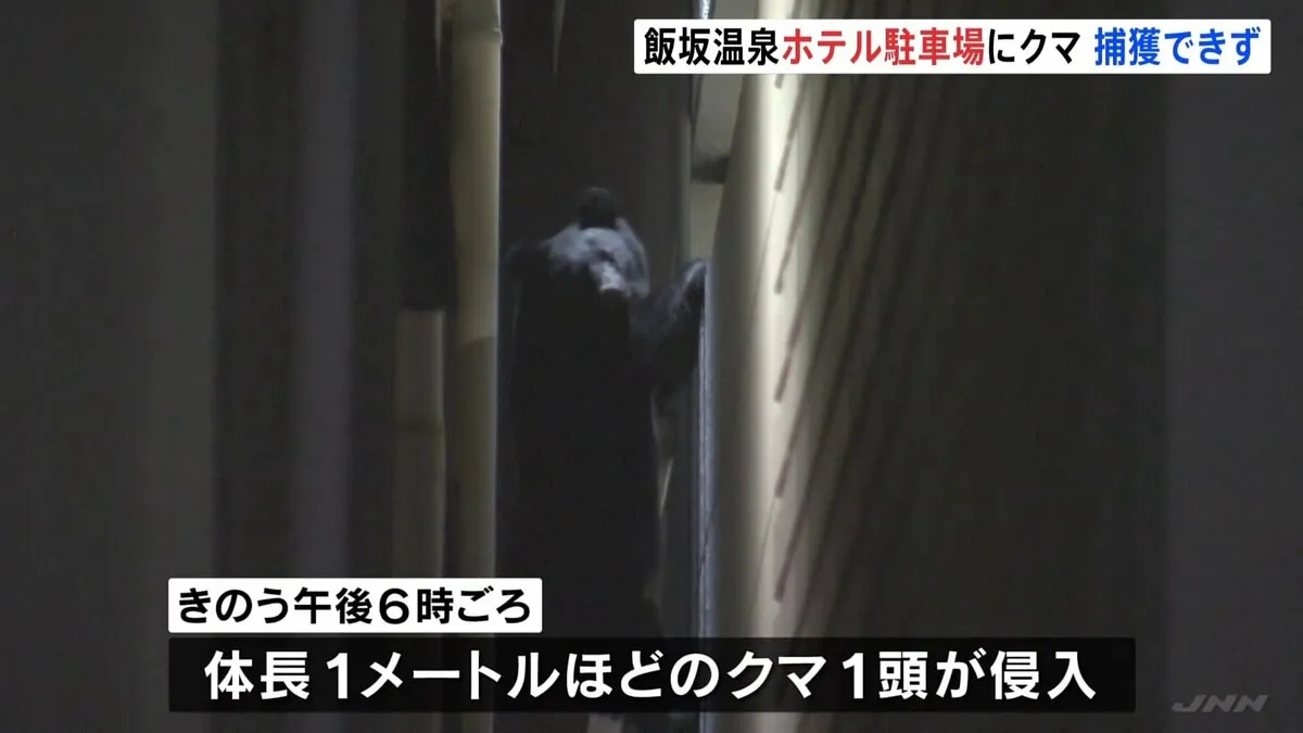 ホテルの立体駐車場にクマ侵入 壁よじ登る姿も　捕獲試みるも近くの川へ“逃走”　福島市