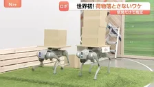 AIロボット 富士通が実験施設公開　世界初！荷物を落とさないワケ“感覚だけで推定”　中国ロボは速いけど…日本の強みは“考える力”