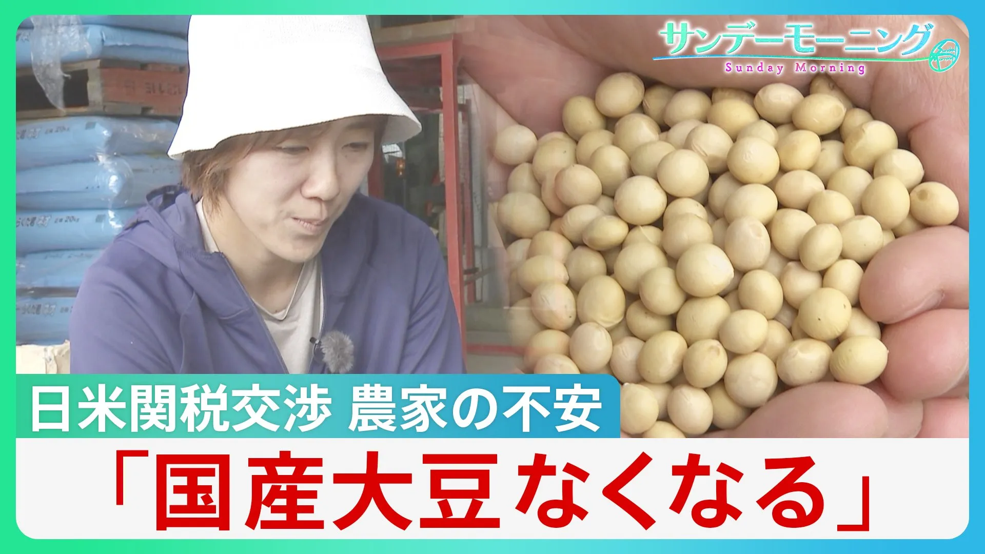 「国産大豆なくなる」日米関税交渉に不安募らせる農家　日本が交渉カードとしたのは大豆などの農作物【サンデーモーニング】