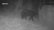 東京・八王子などでハンターがクマのパトロールを実施　春のパトロールは初めて