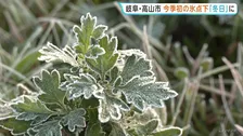 駆け足で進む季節　各地で今季最低気温に　岐阜･高山市では気温－3.5度…今季初の冬日　緑の葉には真っ白な霜も