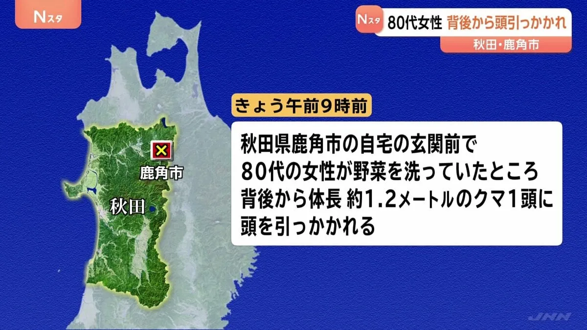 80代女性がクマに襲われけが 玄関前で野菜を洗っていたところ背後から頭を引っかれる 秋田・鹿角