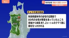 80代女性がクマに襲われけが 玄関前で野菜を洗っていたところ背後から頭を引っかれる 秋田・鹿角