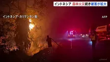 “過去10年で最悪レベル”インドネシアで森林火災の被害拡大　絶滅危惧種オランウータンも“飢餓状態”で保護　シンガポールなど周辺国も大気汚染が深刻