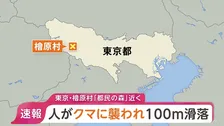 【速報】「コグマに襲われて100mほど滑落し足をけがしている人がいる」東京・檜原村「都民の森」付近で通報 1人けが 警視庁などが救助活動中