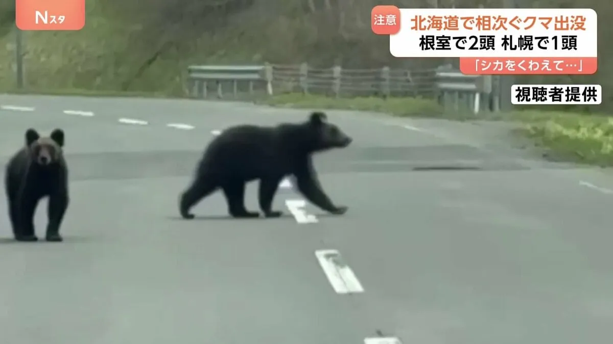 北海道でクマ出没相次ぐ　根室で道路を歩くヒグマ2頭撮影　札幌ではヒグマ1頭を駆除