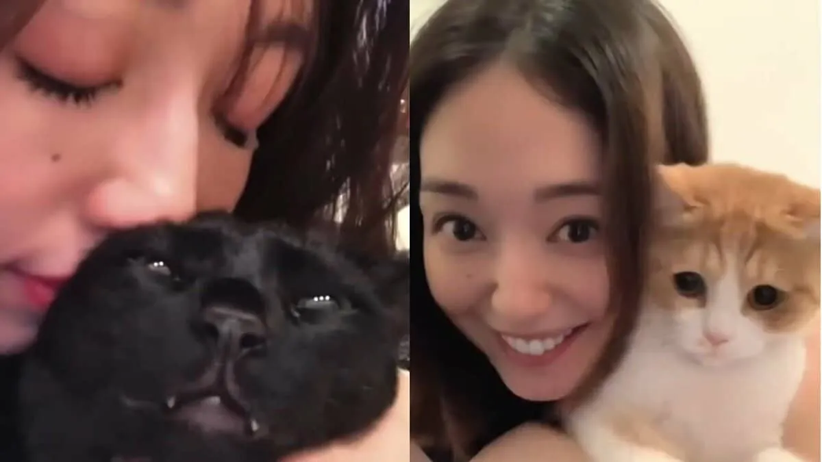 【保護猫】松島花「迎えて7年」「3匹それぞれ性格や可愛さが違って愛おしい」フォロワー共感「お互いにかけがえのない存在」