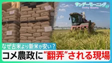 なぜ古米より新米が安い？　コメ価格”異変”で「損切り」も　”じゃぶじゃぶ”政策から一転・・「備蓄米」買い戻し　コメ農政に”翻弄”される現場【サンデーモーニング】