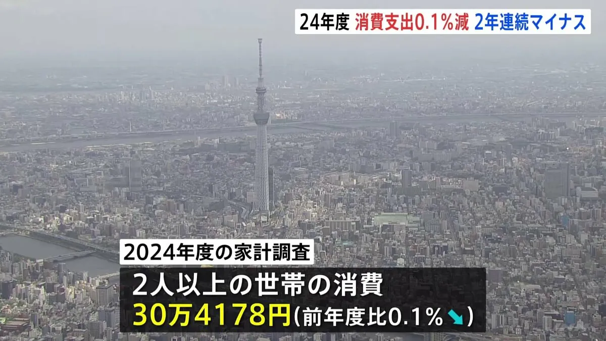 24年度の家計消費支出0.1％減少　マイナスは2年連続　物価高で節約志向続く　エンゲル係数は43年ぶり高水準