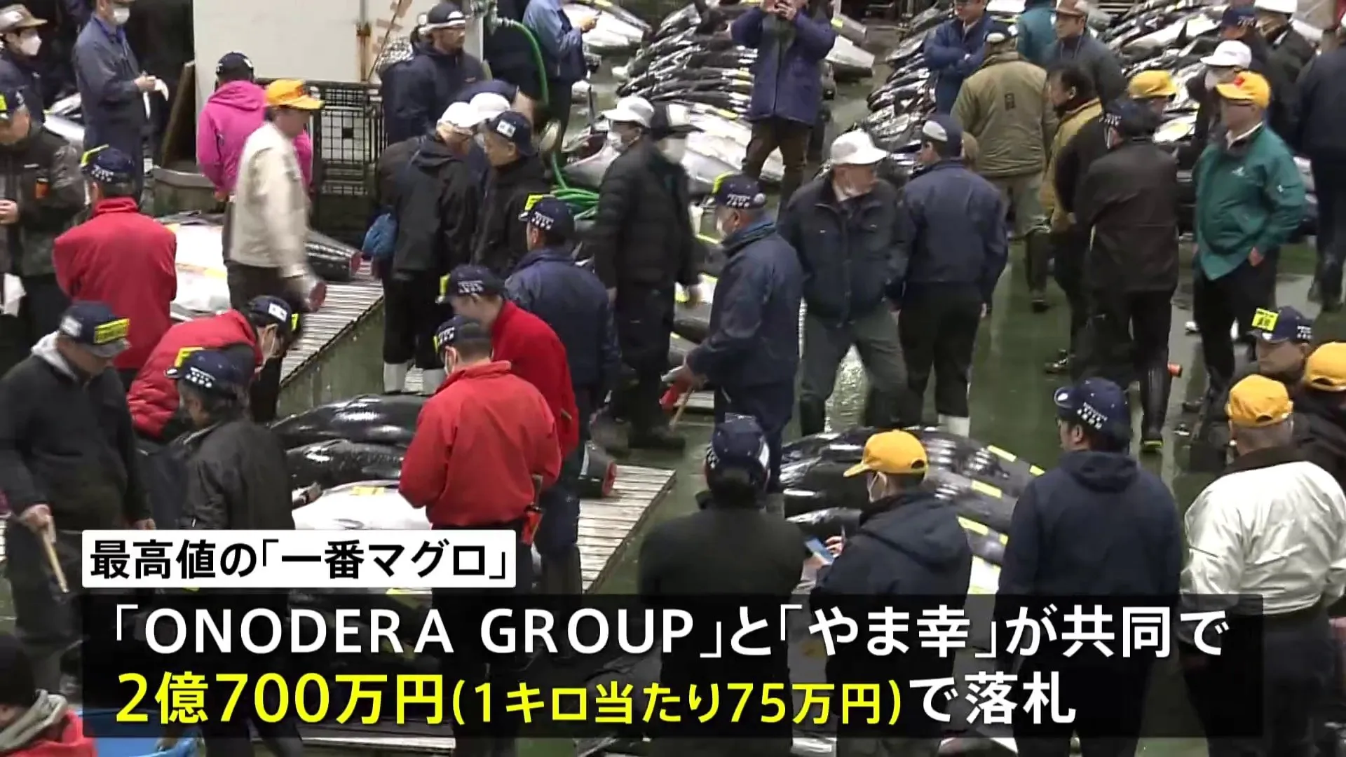 一番マグロは大間産2億700万円　過去2番目の高値　豊洲市場で初競り